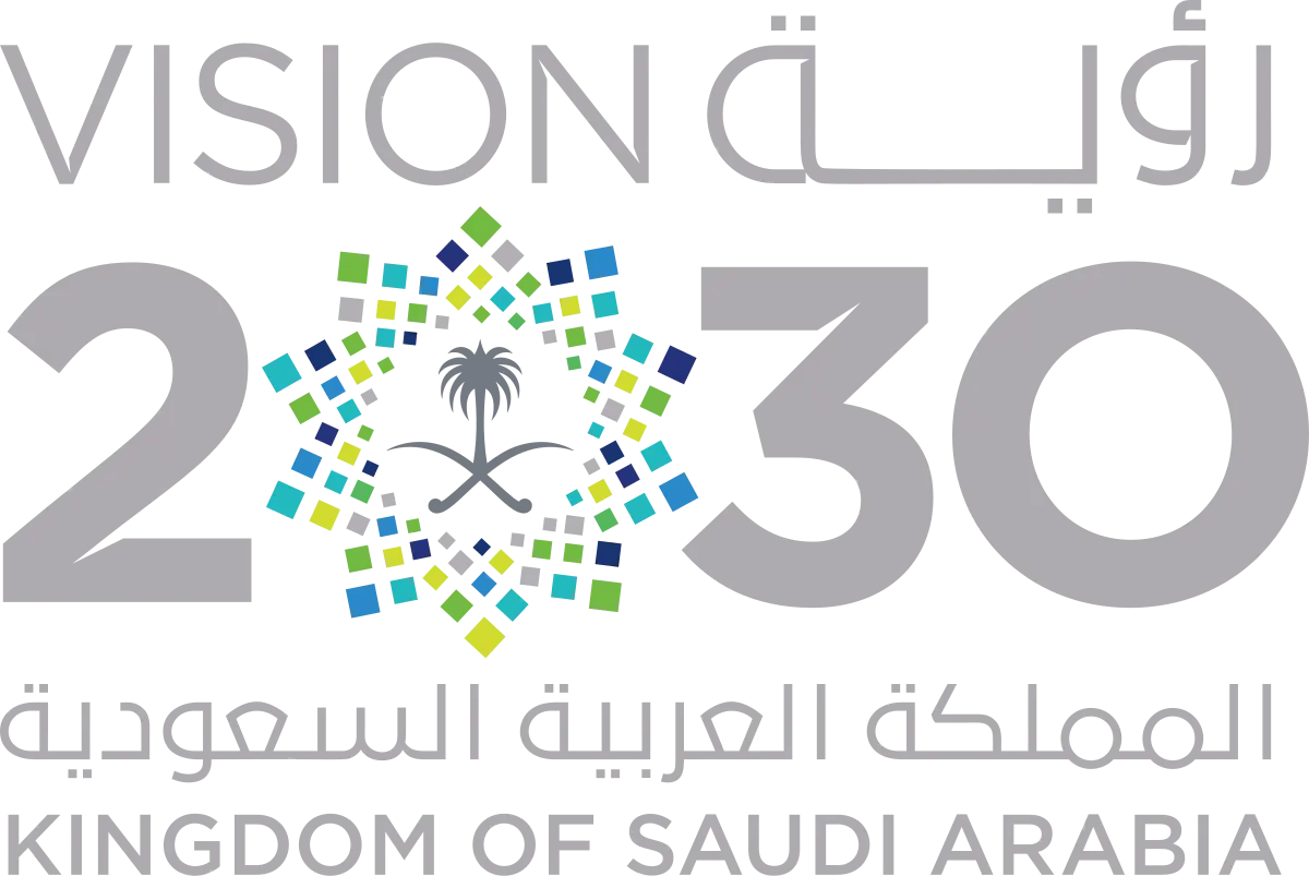 2030 vision image